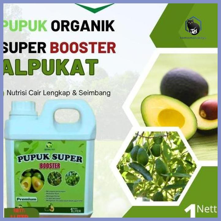 PUPUK BUAH ALPUKAT CEPAT BERBUAH / PUPUK ALPUKAT ANTI RONTOK / PUPUK ALPUKAT CEPAT BERBUAH / PUPUK A