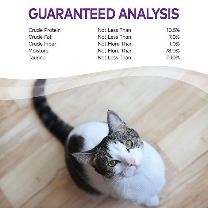 Wellness Pate Cat Canned Food 5.5oz