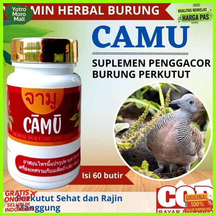 Premium Camu Pil Perkutut Gacor Rajin Manggung Jamu Perkutut / Pil Ajaib / Bangkok / Katurangan / Lo
