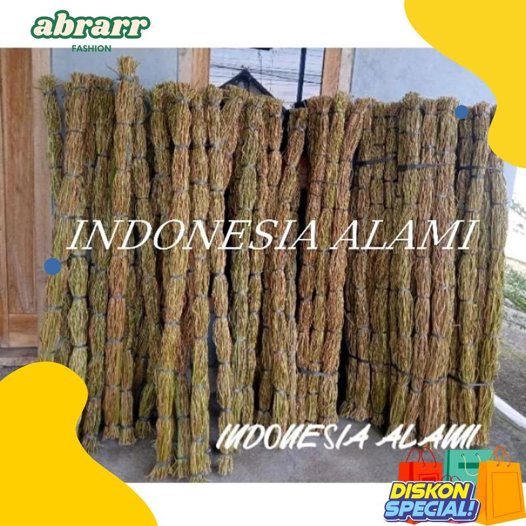 Cod Akar Manon Isi 100 Panjang 150 Cm Akar Manon 1 Ikat 100 Batang Akar Manon Dekorasi