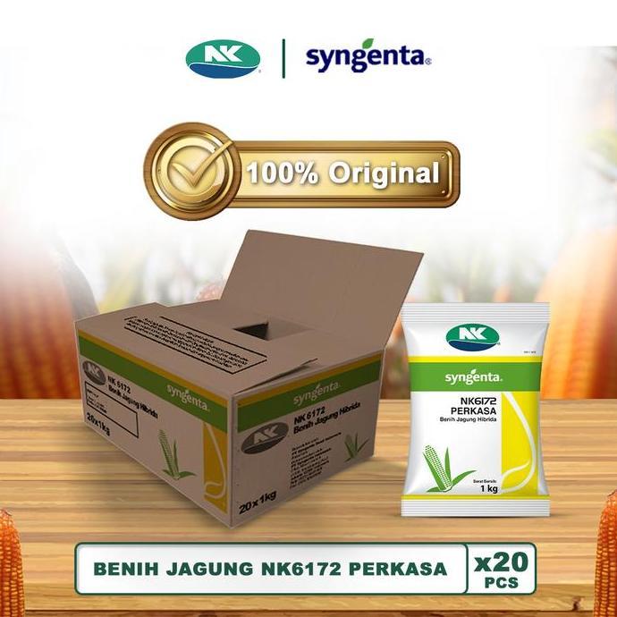 Benih Jagung NK 6172 | NK PERKASA - 20Kg