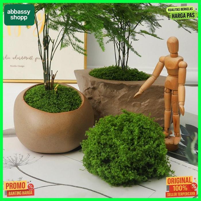 Sale 100G Rumput Sintetis Aquascape Aquarium/Tawetan Tahan Lama Rumput Sintetis Aquascape Jadi