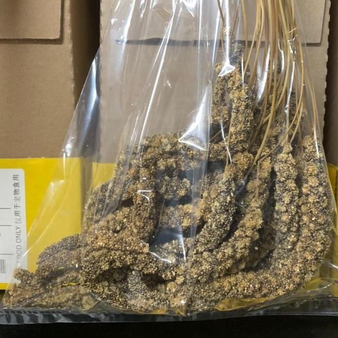 JEWAWUT TANGKAI HITAM 1 KG JEWAWUT GANTUNG MAKANAN FINCH PARKIT LB DLL