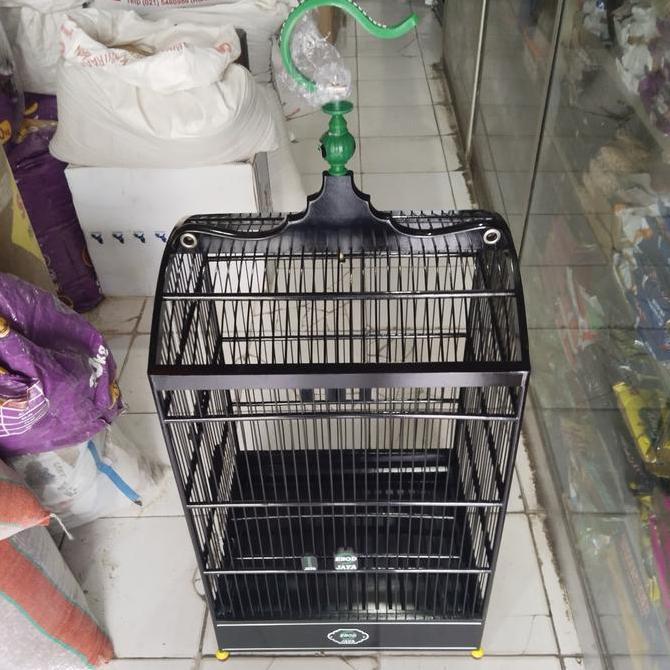 Ebod Jaya Sangkar Kotak Ebod Reborn No 2 Khusus Jabodetabek Variasi Pion Ebod Gtungan Lipat Plus Kar