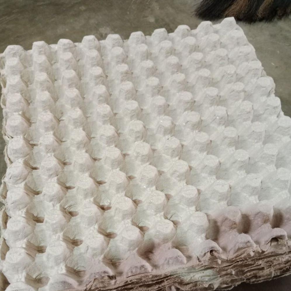 Bisa Cod Tray Telur Puyuh /Tempat Telur Puyuh ||