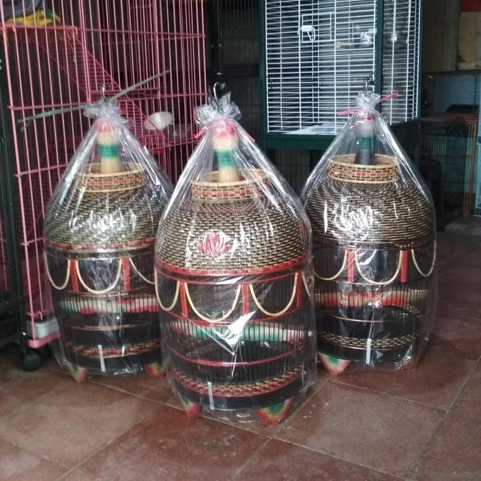 Kandang Burung Perkutut Rotan