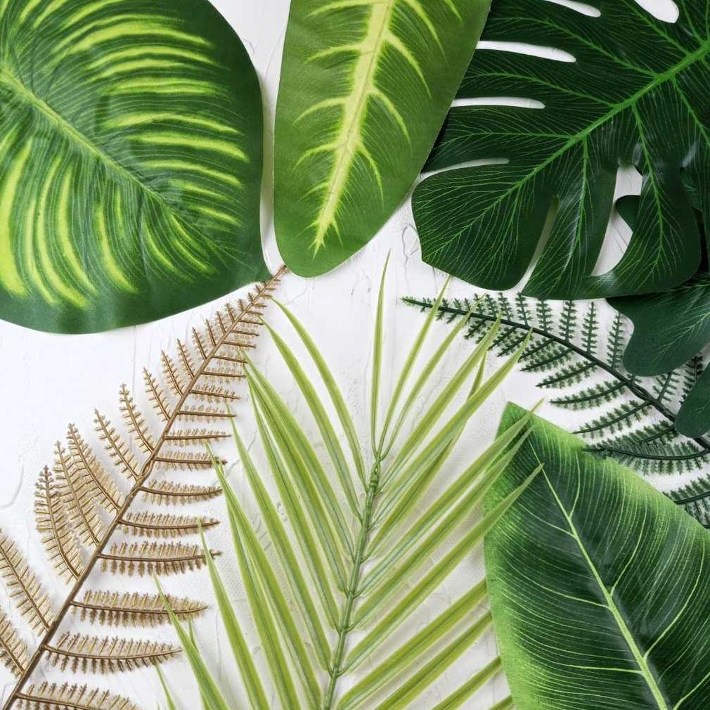 Promo Cod Daun Tropical 1 Lusin / 12Pcs - Monstera Philodenron Palem Pakis Pinus Gajah - Tanaman Hia