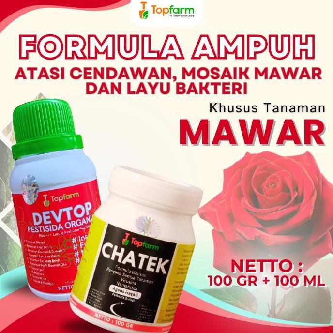 Obat Semprot Bunga Mawar - Pestisida Chatek Khusus Bunga Mawar - Obat Pembasmi Hama Tanaman Mawar / 