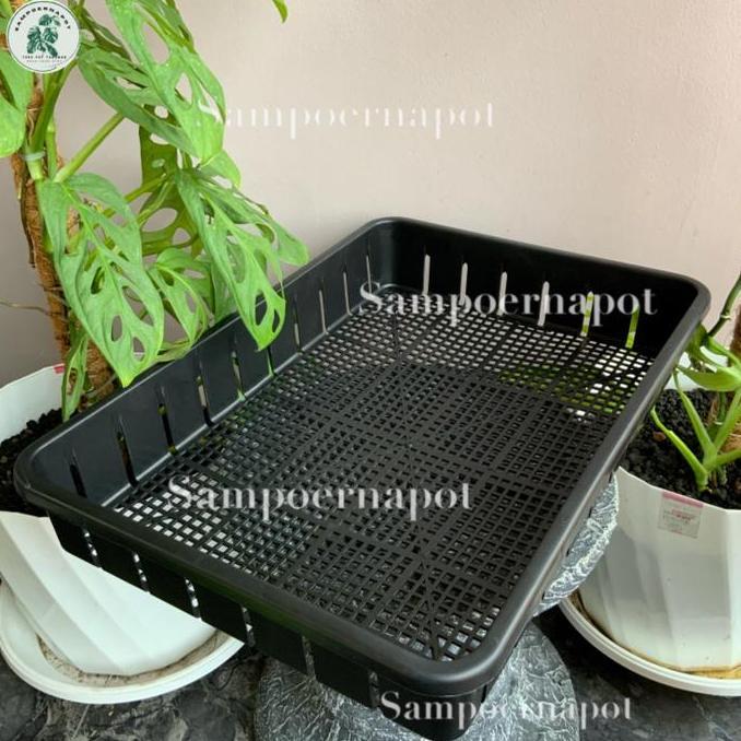 Tray pot untuk semai bibit hidroponik 50cm - TRAY POT NKT 50CM