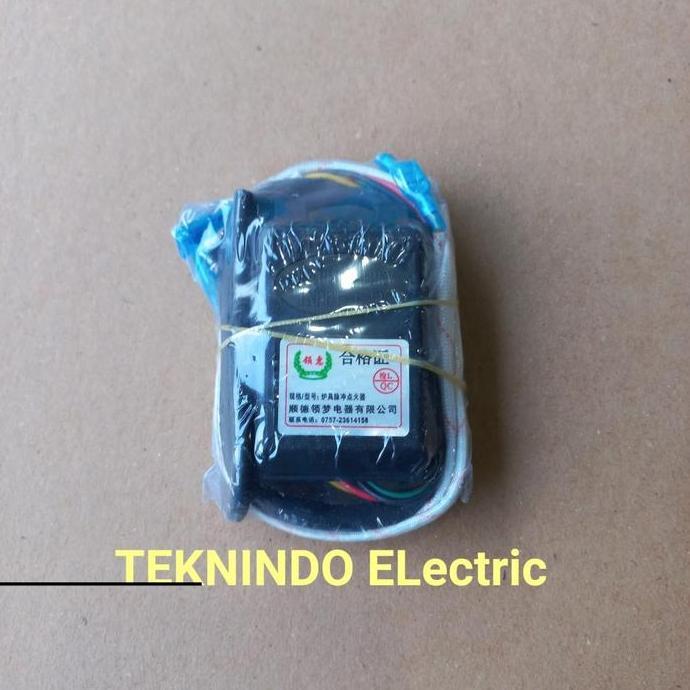 New- modul pemantik elektrik kompor gas quantum kompor tanam 2 kabel