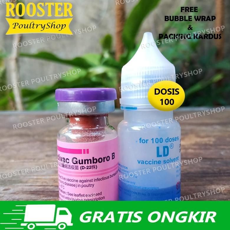 Vaksin Ayam Gumboro B Dosis 100 500 Ayam