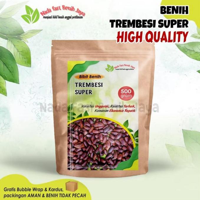 500 Gram Biji benih pohon trembesi super / bibit tanaman biji trembesi