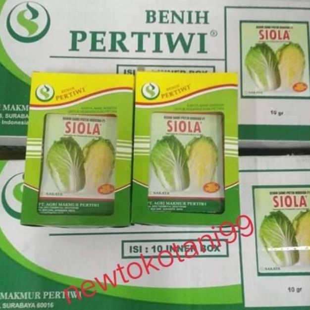 Benih sawi putih SIOLA F1 10 gram dari benih pertiwi sawi siola