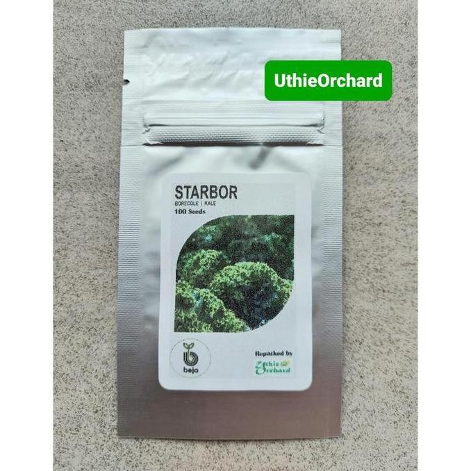 Benih Bejo Seed - Kale Curly Starbor F1 Kemasan 100 Seeds