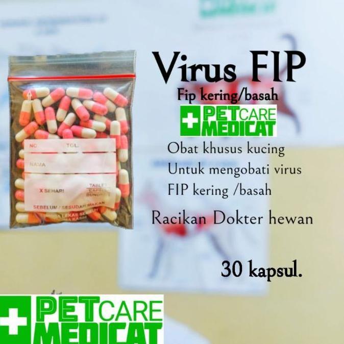 obat khusus virus FIP basah FIP kering obat virus FIP kucing obat fip kucing