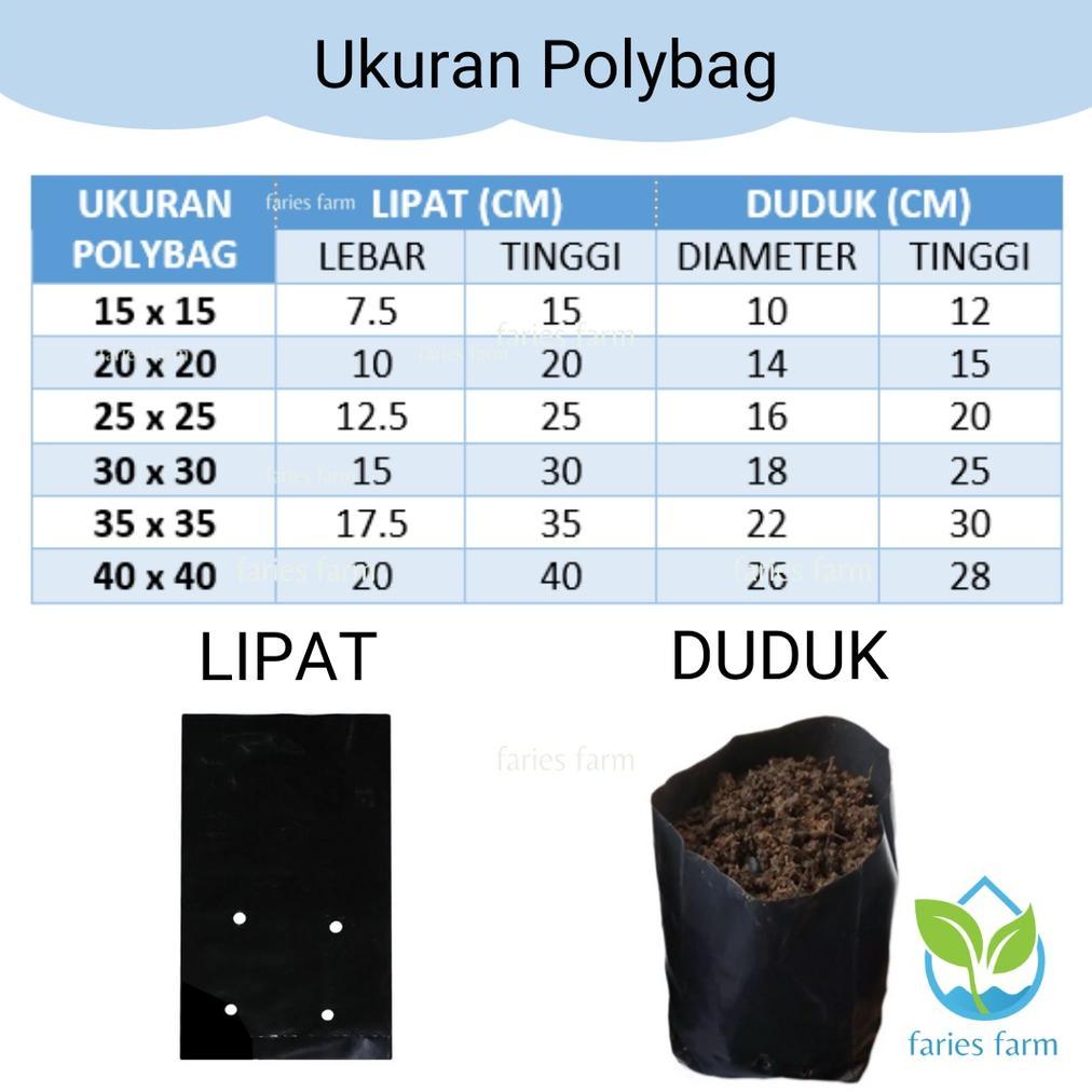 Promo Cod Polybag Polibag 1 Pack Kurang Lebih 250 Gram Ukuran 15X15 20X20 25X25 30X30 35X35 40X40 50