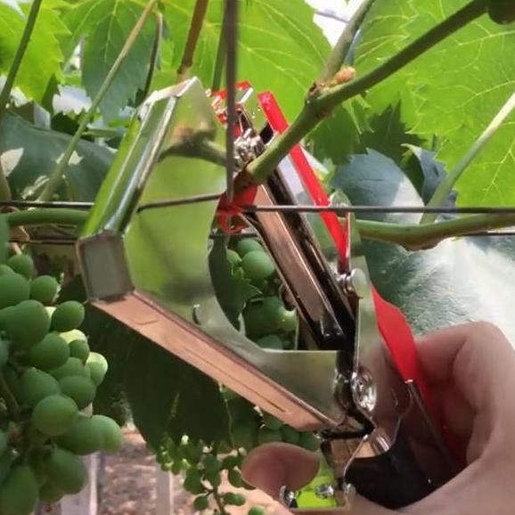 Vrimas00 - Tapetool Alat Pengikat Batang Tanaman Cabe Tomat