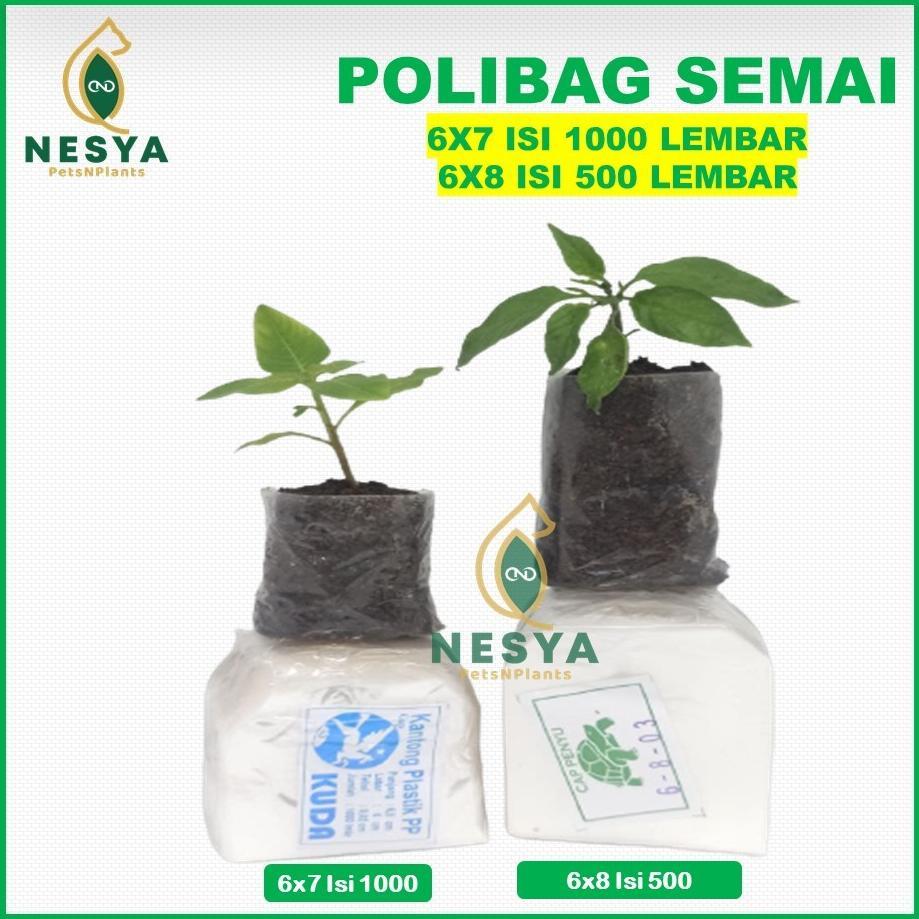 Bisa Cod Plastik Semai Polybag Polibag Semai Pp Polibag Kecil Ukuran 6X7 6X8 ||