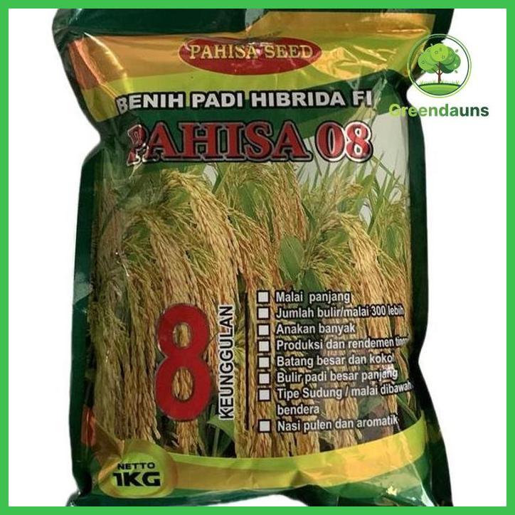 BENIH PADI HIBRIDA F1 PAHISA 08 JAMINAN 100% ORIGINAL 1KG KEUNGGULAN MALAI PANJANG DAN PRODUKSI TING
