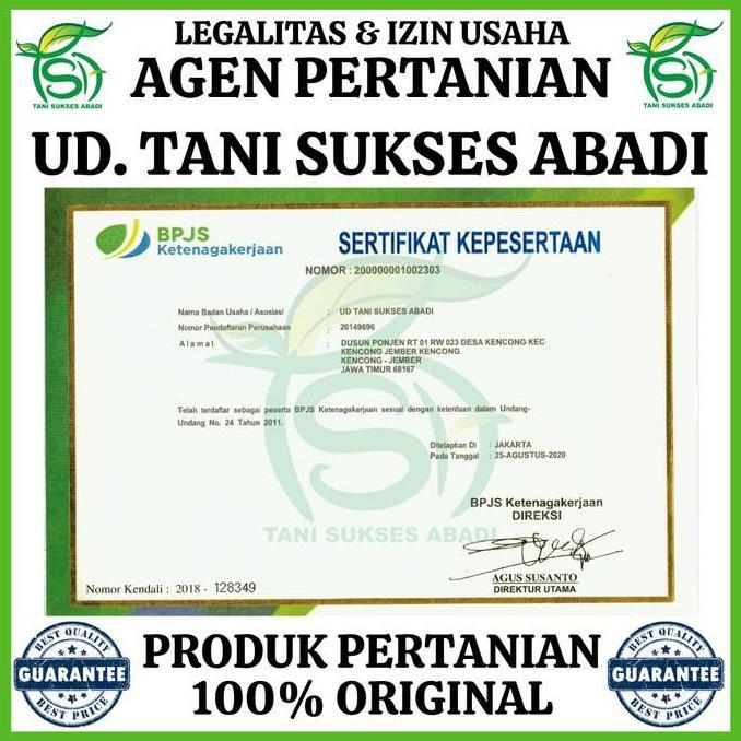 New- Benih AMELIA F1 (360 Biji) - Bibit Semangka Non Biji Cap Panah Merah