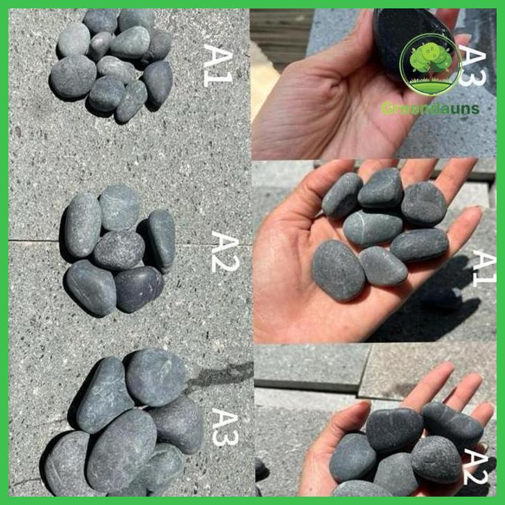 BATU KORAL HITAM BENGKULU HIASAN TAMAN KERING TAMAN TANAMANA BIBIT PEKARANGAN HIASAN BUAH BUNGA