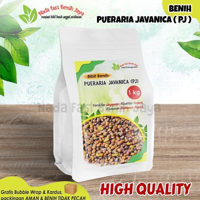 Benih Pueraria Javanika PJ 1 kg / bibit kacang kacangan PJ Tanaman