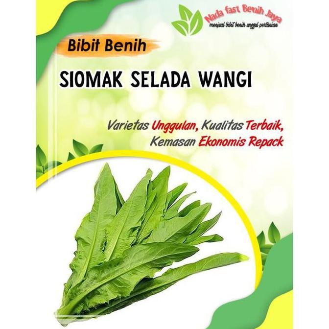 100 biji Benih selada siomak  - bibit sayuran siomak