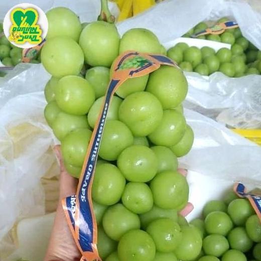 Fruxi- Buah Anggur Hijau Shine Muscat Manis Fresh Non Biji