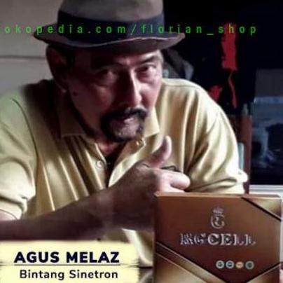 RG cell original 100% paket hemat isi 3 dus + bonus