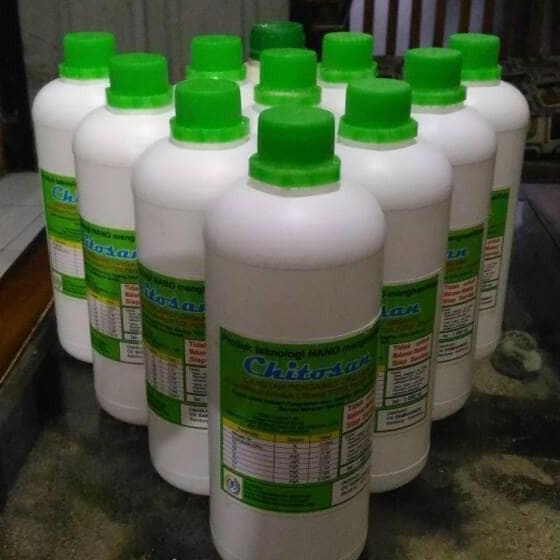 pengawet organik chitosan, pengawet sayuran, buah, daging, ikan,