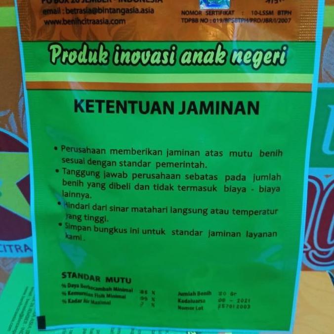 Expert- benih semangka kuning inden F1