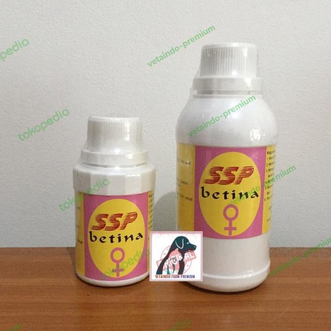 TERLARIS - JAMU SSP BETINA ARISTOL VITAMIN BURUNG MERPATI BETINA SSP ARISTOL