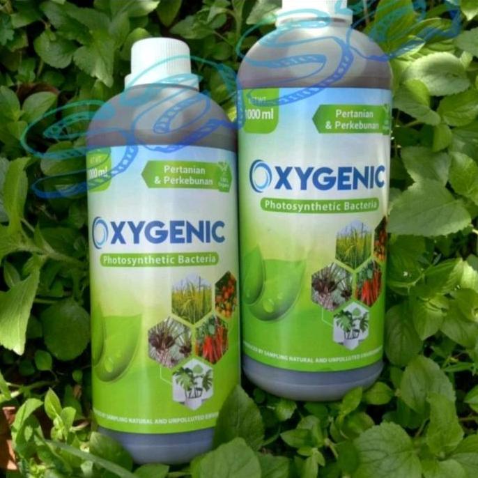 Plnt- Psb Oxygenic Bakteri Fotosintesis Pupuk Cair Tanaman 1Liter