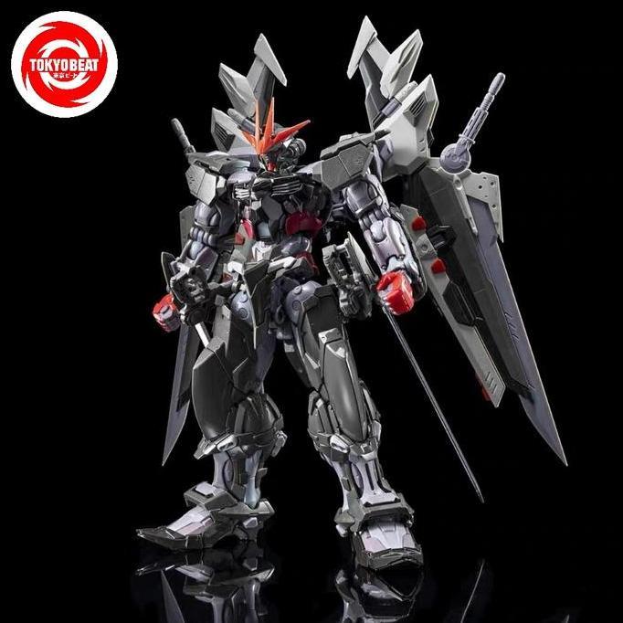 HIRM HI-RESOLUTION MODEL 1/100 ASTRAY NOIR MJH