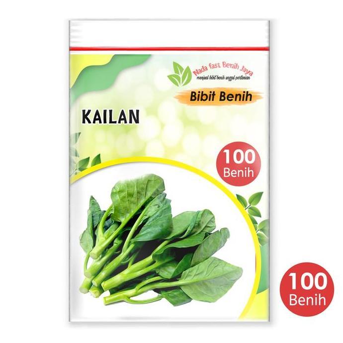 Benih sayuran kailan 100 biji / bibit kailan benih tanaman