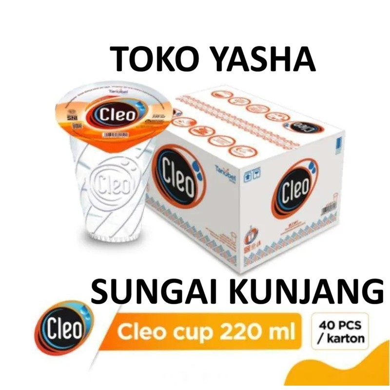 CLEO Air Mineral Cup Dus 40 x 220 ML