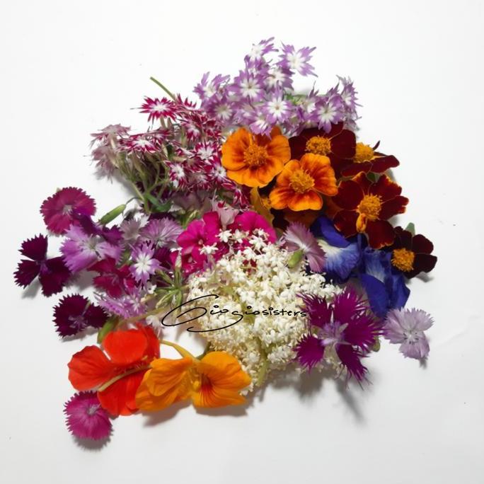 Edible Flower | Flower Garnish | Fresh Flower Edible