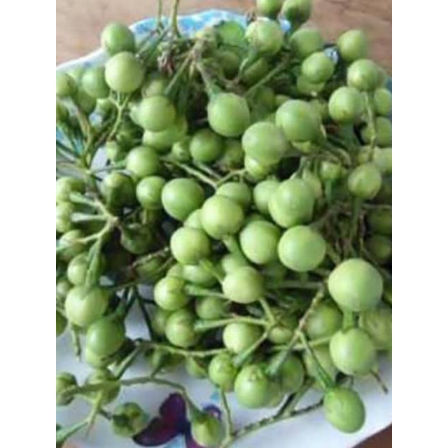 Buah Takokak Segar, Buah Tekokak, Takokak Buah, Tekokak Rimbang, 300 gram