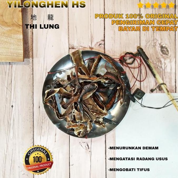 Ready  Thi Lung Cacing Tanah Lumbricus Rubellus Kering 1 Liong Obat Tifus