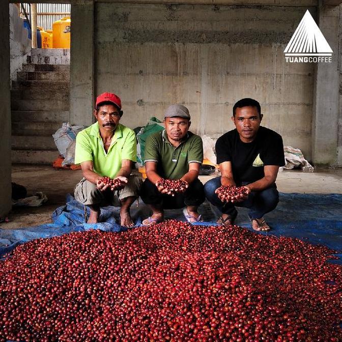 Ready Green Bean Arabica Anaerobic Natural - 1kg Biji Kopi Mentah Flores Manggarai