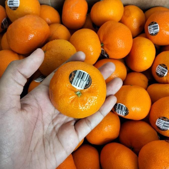 buah jeruk mandarin australia tangold fresh manis tanpa biji per 1 kg