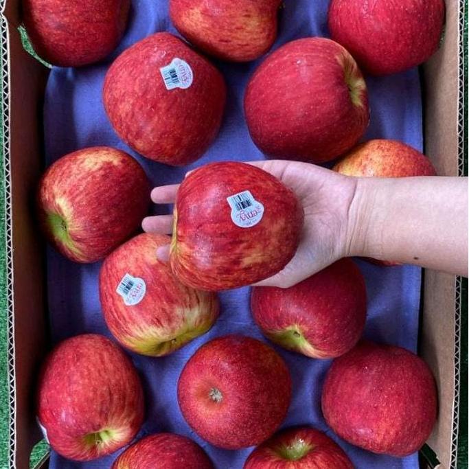 NEW APEL ENVY NEW ZEALAND / ENVY APPLE BEST