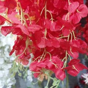 Flowbty- Bunga Wisteria Jumbo 12 Pcs 1 Lusin Harga Grosir Tanama Bunga Plastik Buatan Hias Dekorasi 