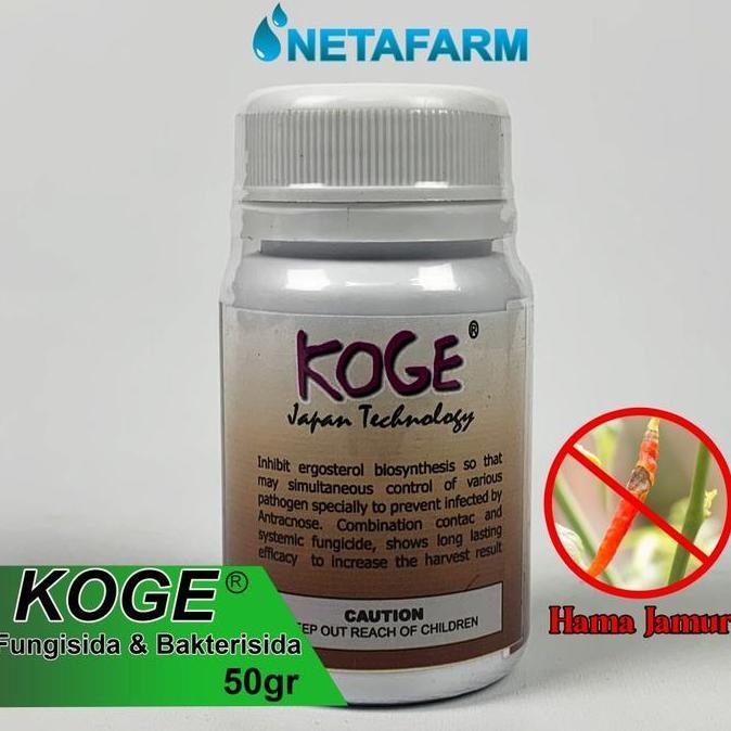 *****] Fungisida Bakterisida KOGE Obat Anti Busuk Cabe - 50gr