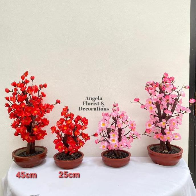 Pohon Meihua Sakura Imlek | Pot Meihua Hiasan Imlek | Bunga Sakura