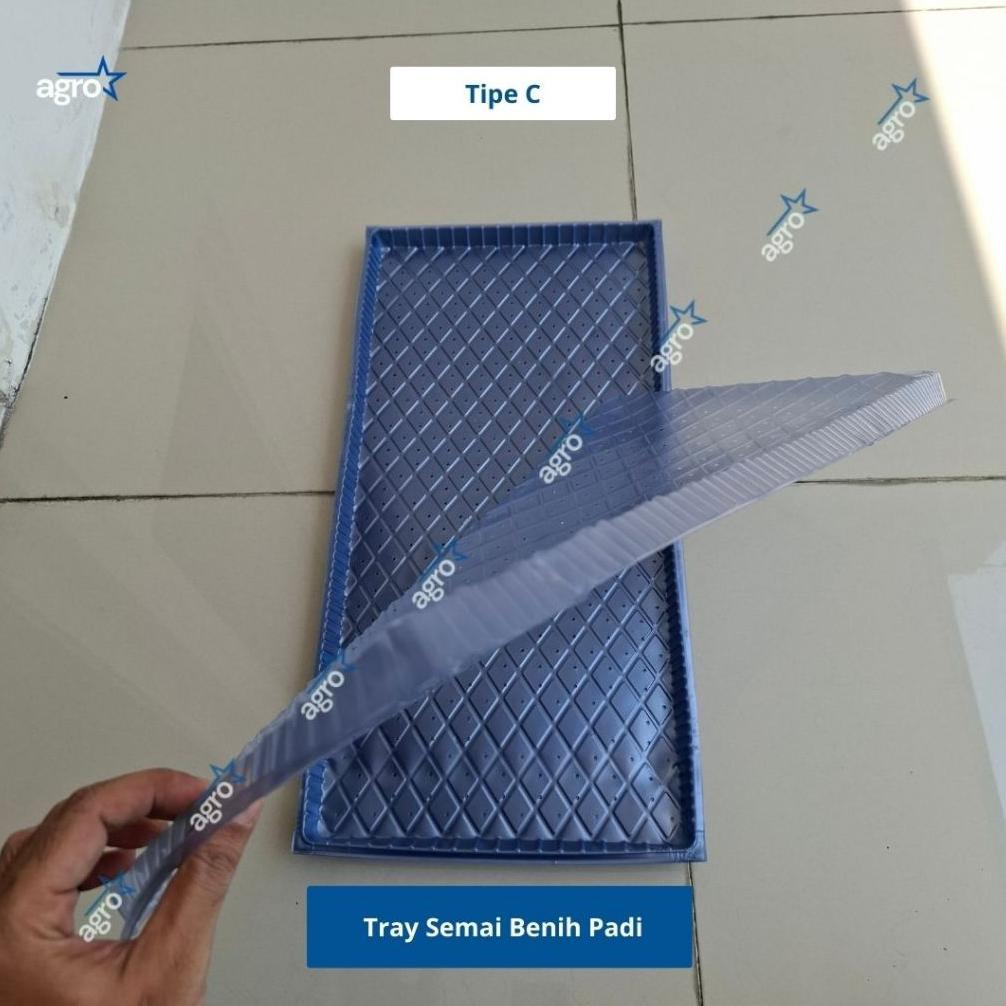 Bisa Cod [Tipe C] Tray Semai Benih Padi / Tray Padi / Tempat Semai Padi / Nampan Semai ...