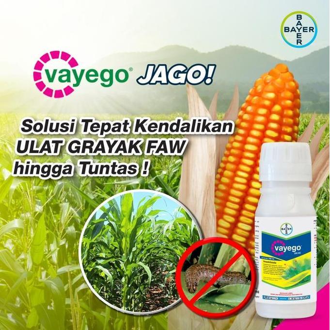 Vayego Insektisida Sistemik 200 Sc Pembasmi Hama Ulat