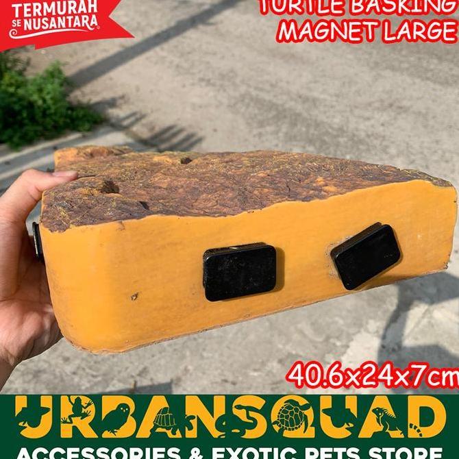 TURTLE BANK EXOTERRA BASKING SPOT KURA AIR RES ALBINO BRAZIL DAMER