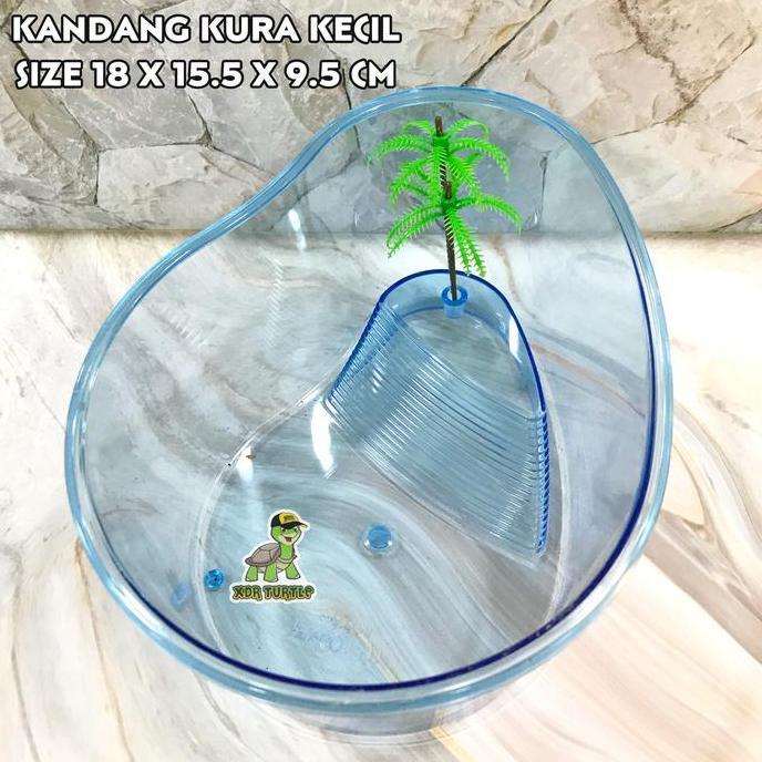 PROMO MURAH KANDANG KURA KECIL KURA AIR RES BRAZIL PICTA GECKO SIMPLE