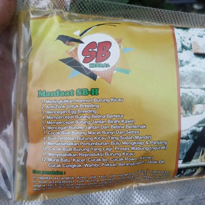 Tqs Suplemen Breeding Murai Batu Sb Herbal 250 Gram Serbuk Breeding Untuk Ternak Burung Murai Batu K